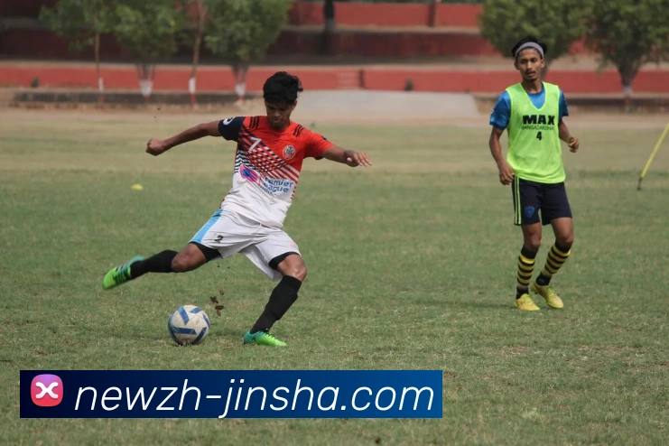 金沙官网服务体系